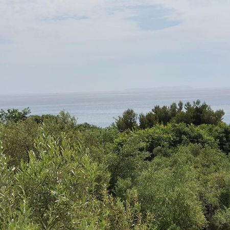 Seaview Apartment Borsh Εξωτερικό φωτογραφία