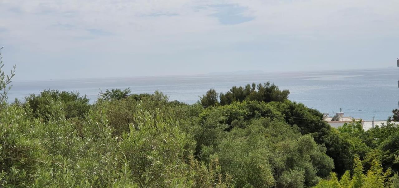 Seaview Apartment Borsh Εξωτερικό φωτογραφία