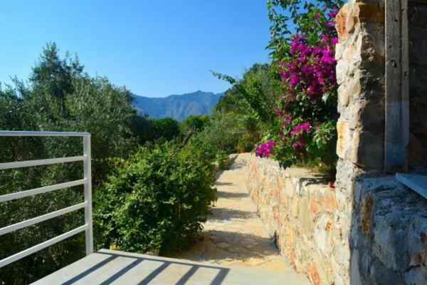 Seaview Apartment Borsh Εξωτερικό φωτογραφία